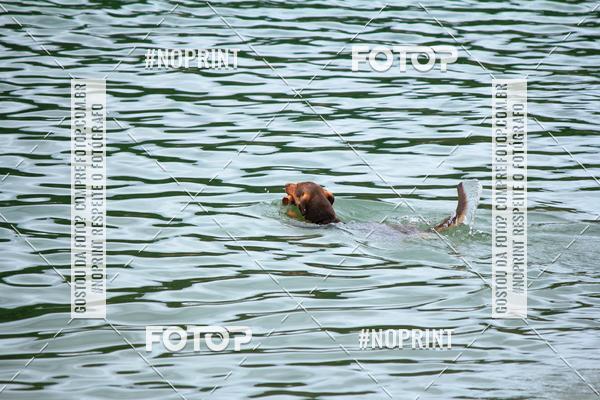 Acquista le foto dell'eventoKaluan� Trail e Canicross - Irisphoto in Fotop