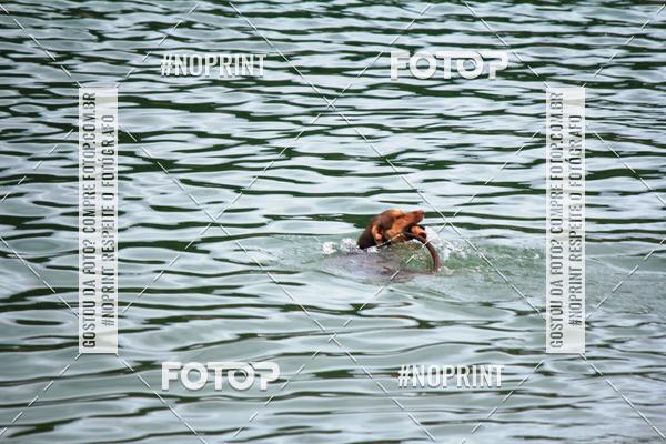 Acquista le foto dell'eventoKaluan� Trail e Canicross - Irisphoto in Fotop