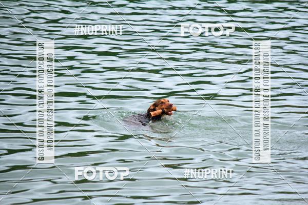 Acquista le foto dell'eventoKaluan� Trail e Canicross - Irisphoto in Fotop