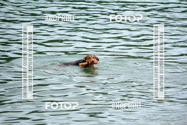 Acquista le foto dell'eventoKaluan� Trail e Canicross - Irisphoto in Fotop