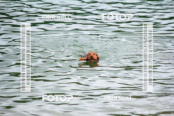 Acquista le foto dell'eventoKaluan� Trail e Canicross - Irisphoto in Fotop