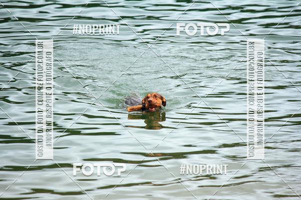 Compre as suas fotos do eventoKaluan� Trail e Canicross - Irisphoto no Fotop