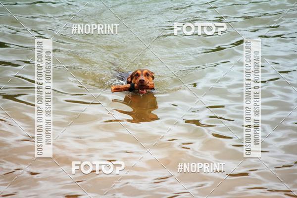 Compre as suas fotos do eventoKaluan� Trail e Canicross - Irisphoto no Fotop