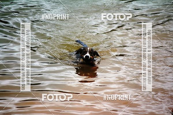 Buy your photos of the eventKaluan� Trail e Canicross - Irisphoto on Fotop