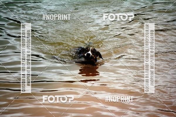 Buy your photos of the eventKaluan� Trail e Canicross - Irisphoto on Fotop