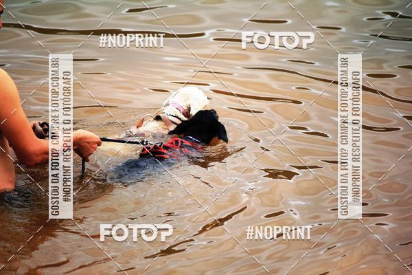 Buy your photos of the eventKaluan� Trail e Canicross - Irisphoto on Fotop