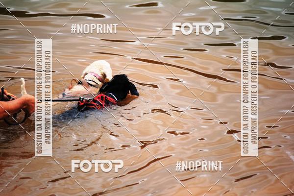 Buy your photos of the eventKaluan� Trail e Canicross - Irisphoto on Fotop