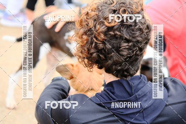 Buy your photos of the eventKaluan� Trail e Canicross - Irisphoto on Fotop