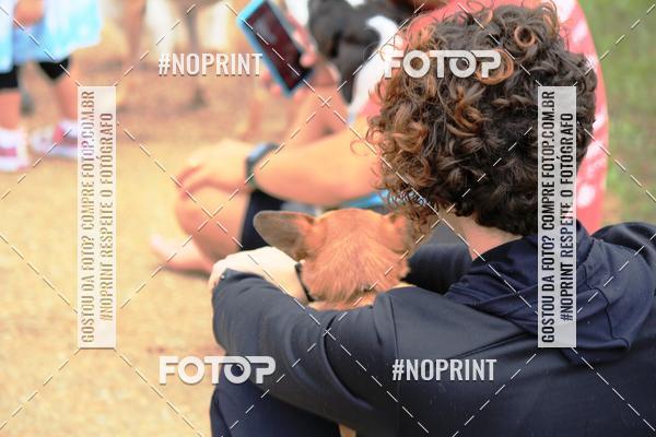 Buy your photos of the eventKaluan� Trail e Canicross - Irisphoto on Fotop