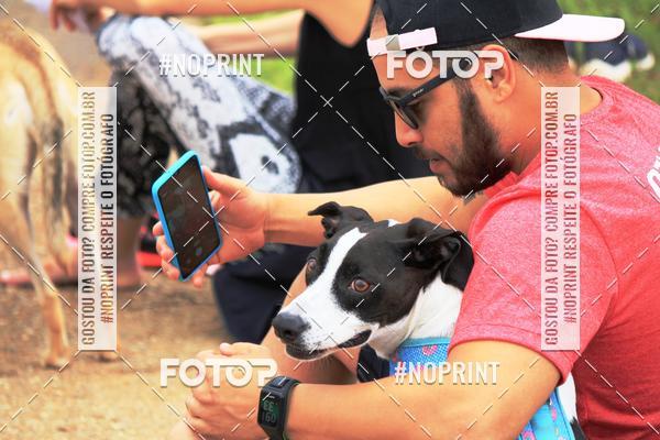 Buy your photos of the eventKaluan� Trail e Canicross - Irisphoto on Fotop