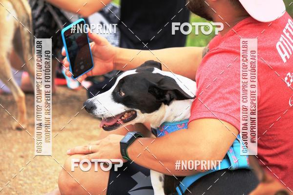 Buy your photos of the eventKaluan� Trail e Canicross - Irisphoto on Fotop