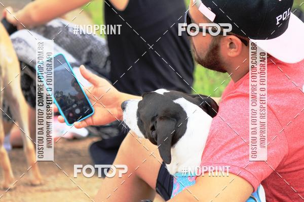 Buy your photos of the eventKaluan� Trail e Canicross - Irisphoto on Fotop