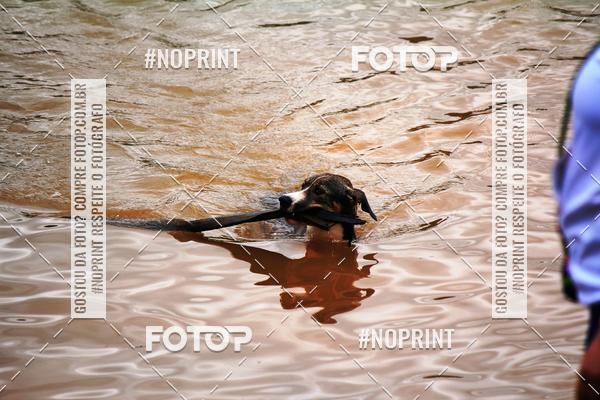 Buy your photos of the eventKaluan� Trail e Canicross - Irisphoto on Fotop