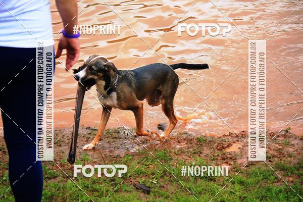 Buy your photos of the eventKaluan� Trail e Canicross - Irisphoto on Fotop