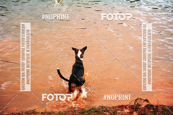 Buy your photos of the eventKaluan� Trail e Canicross - Irisphoto on Fotop