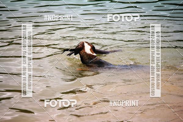 Achetez vos photos de l'�v�nementKaluan� Trail e Canicross - Irisphoto sur Fotop