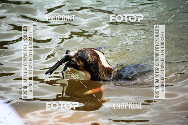 Compre suas fotos do eventoKaluan� Trail e Canicross - Irisphoto no Fotop