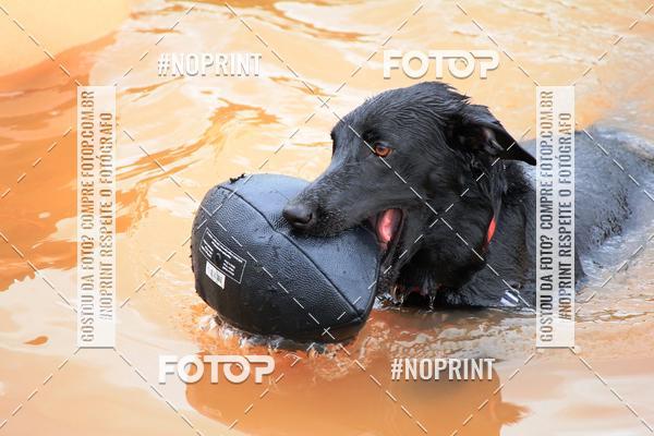 Achetez vos photos de l'�v�nementKaluan� Trail e Canicross - Irisphoto sur Fotop