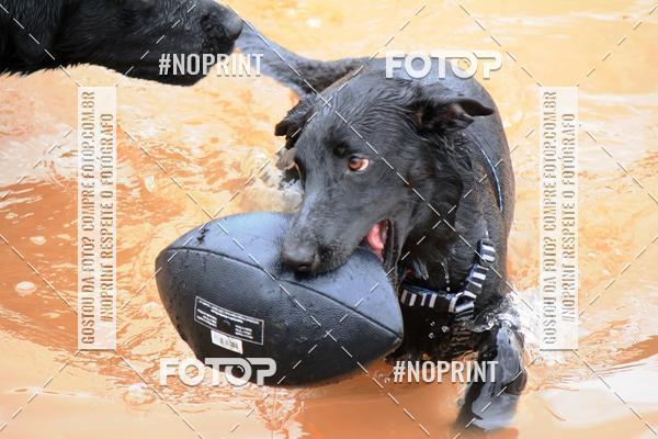 Compre suas fotos do eventoKaluan� Trail e Canicross - Irisphoto no Fotop