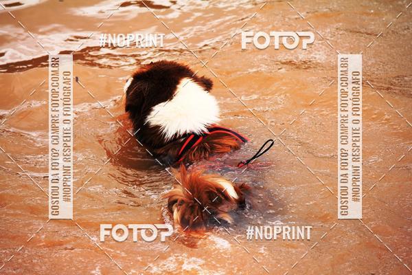 Compre suas fotos do eventoKaluan� Trail e Canicross - Irisphoto no Fotop