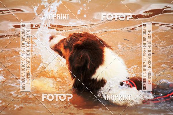 Compre suas fotos do eventoKaluan� Trail e Canicross - Irisphoto no Fotop