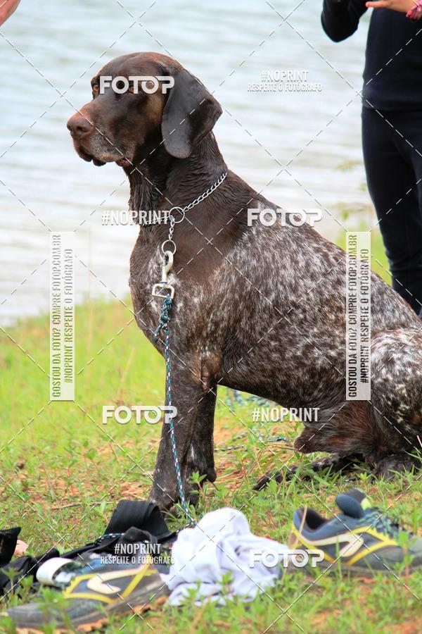 Buy your photos of the eventKaluan� Trail e Canicross - Irisphoto on Fotop