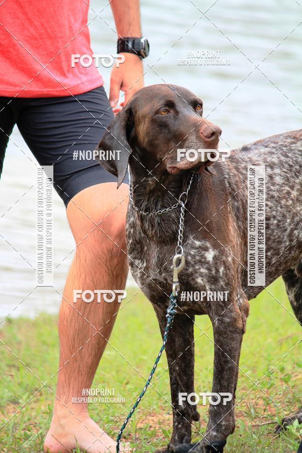 Buy your photos of the eventKaluan� Trail e Canicross - Irisphoto on Fotop