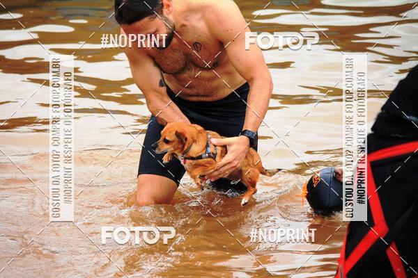 Buy your photos of the eventKaluan� Trail e Canicross - Irisphoto on Fotop