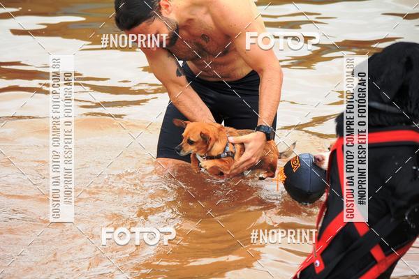 Buy your photos of the eventKaluan� Trail e Canicross - Irisphoto on Fotop