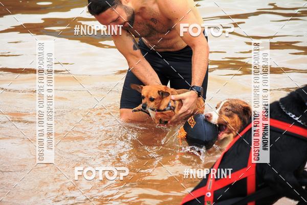 Buy your photos of the eventKaluan� Trail e Canicross - Irisphoto on Fotop