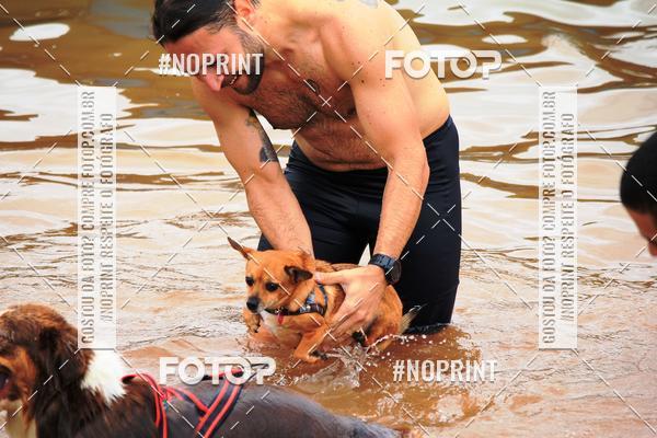 Buy your photos of the eventKaluan� Trail e Canicross - Irisphoto on Fotop