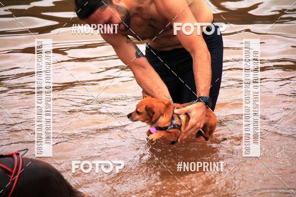 Buy your photos of the eventKaluan� Trail e Canicross - Irisphoto on Fotop