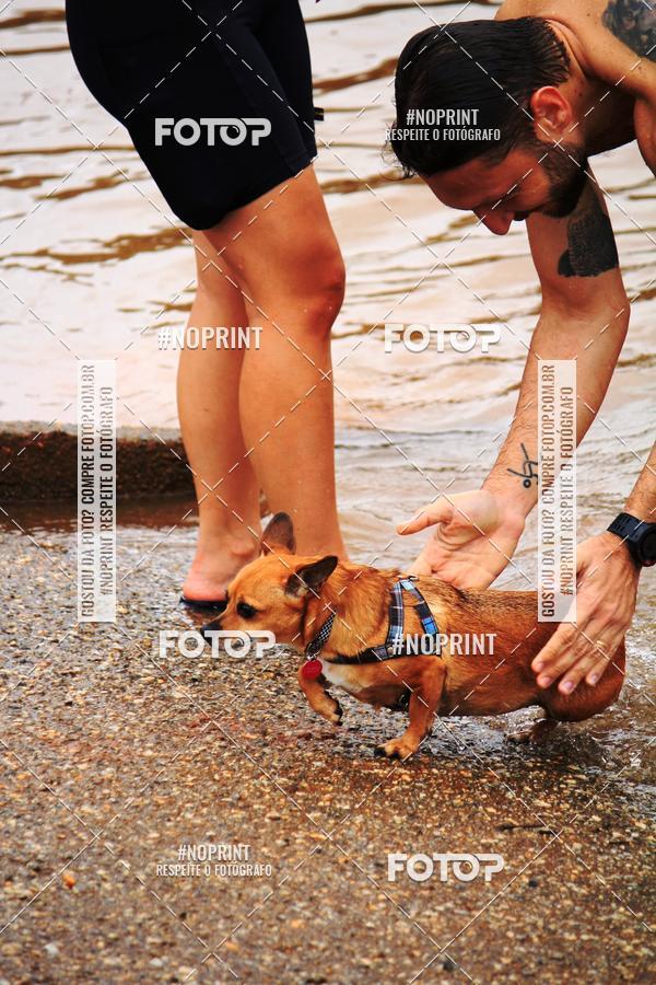 Buy your photos of the eventKaluan� Trail e Canicross - Irisphoto on Fotop