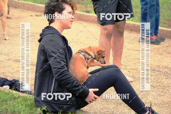 Buy your photos of the eventKaluan� Trail e Canicross - Irisphoto on Fotop