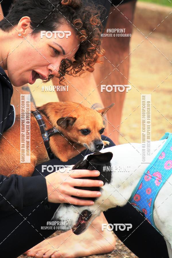 Buy your photos of the eventKaluan� Trail e Canicross - Irisphoto on Fotop