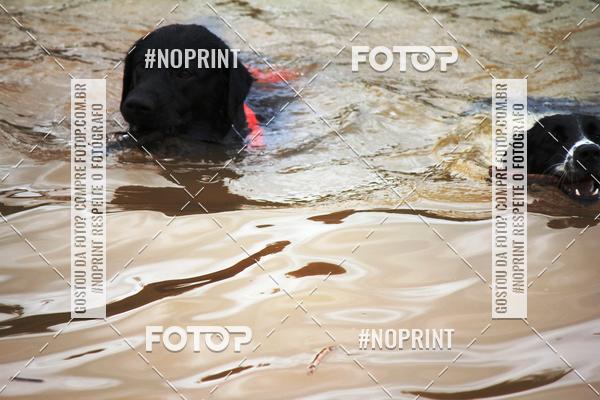 Buy your photos of the eventKaluan� Trail e Canicross - Irisphoto on Fotop