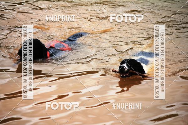 Achetez vos photos de l'vnementKaluan Trail e Canicross sur Fotop