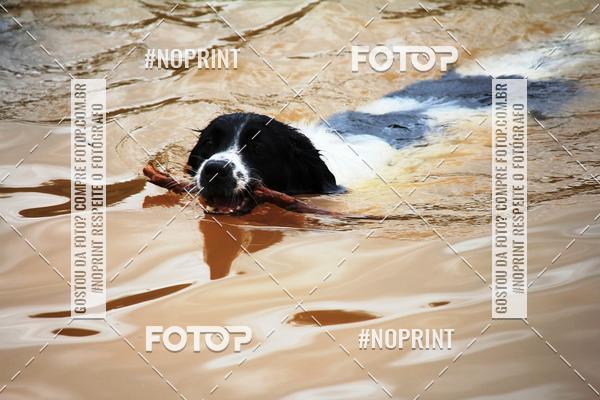 Achetez vos photos de l'vnementKaluan Trail e Canicross sur Fotop