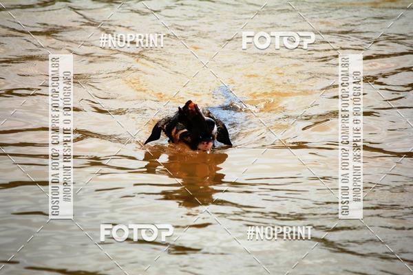 Compre suas fotos do eventoKaluan Trail e Canicross no Fotop