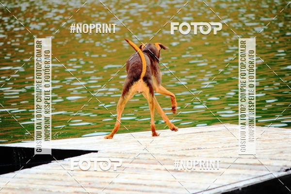 Buy your photos of the eventKaluan� Trail e Canicross - Irisphoto on Fotop