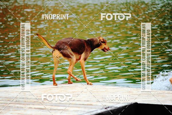 Buy your photos of the eventKaluan� Trail e Canicross - Irisphoto on Fotop