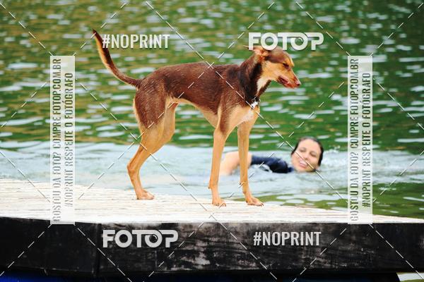 Buy your photos of the eventKaluan� Trail e Canicross - Irisphoto on Fotop