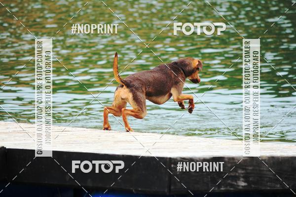 Buy your photos of the eventKaluan� Trail e Canicross - Irisphoto on Fotop