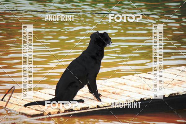 Buy your photos of the eventKaluan Trail e Canicross on Fotop