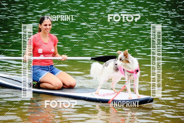 Compra tus fotos del eventoKaluan Trail e Canicross En Fotop