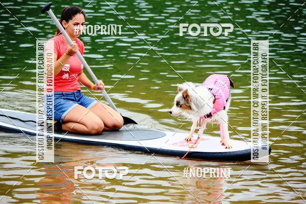 Compra tus fotos del eventoKaluan Trail e Canicross En Fotop