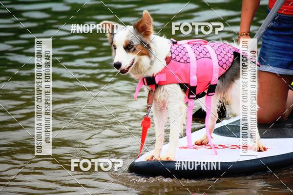 Compra tus fotos del eventoKaluan Trail e Canicross En Fotop