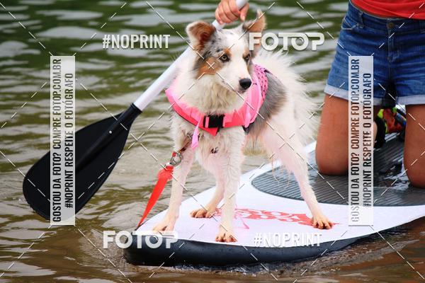 Compra tus fotos del eventoKaluan Trail e Canicross En Fotop