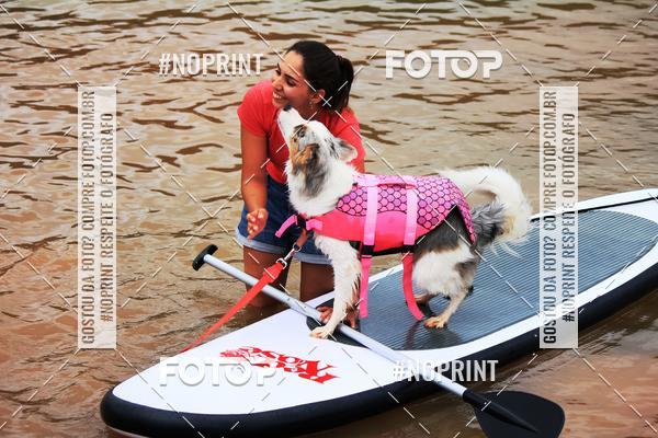 Compra tus fotos del eventoKaluan Trail e Canicross En Fotop