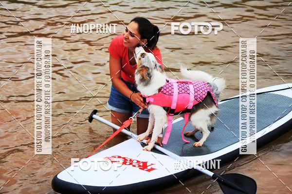 Compra tus fotos del eventoKaluan Trail e Canicross En Fotop